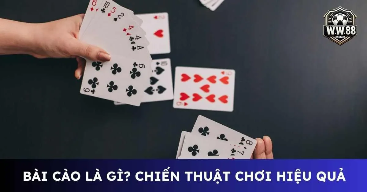 Tìm hiểu bài cào là gì