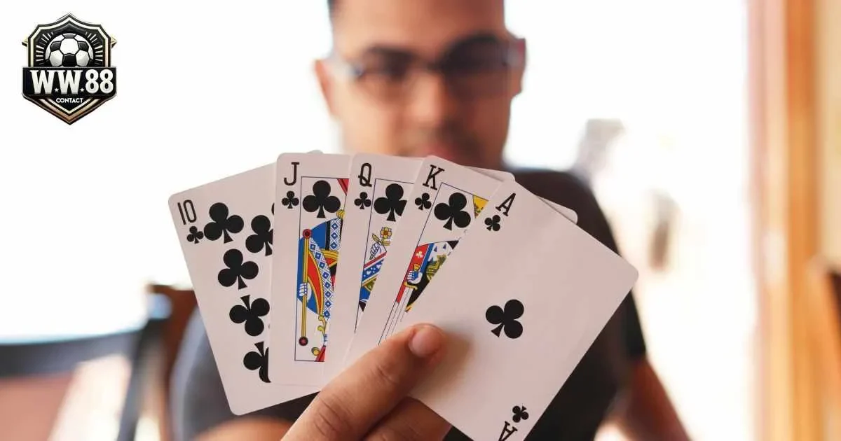 Bài phỏm là gì? Chiến thuật chơi bài phỏm