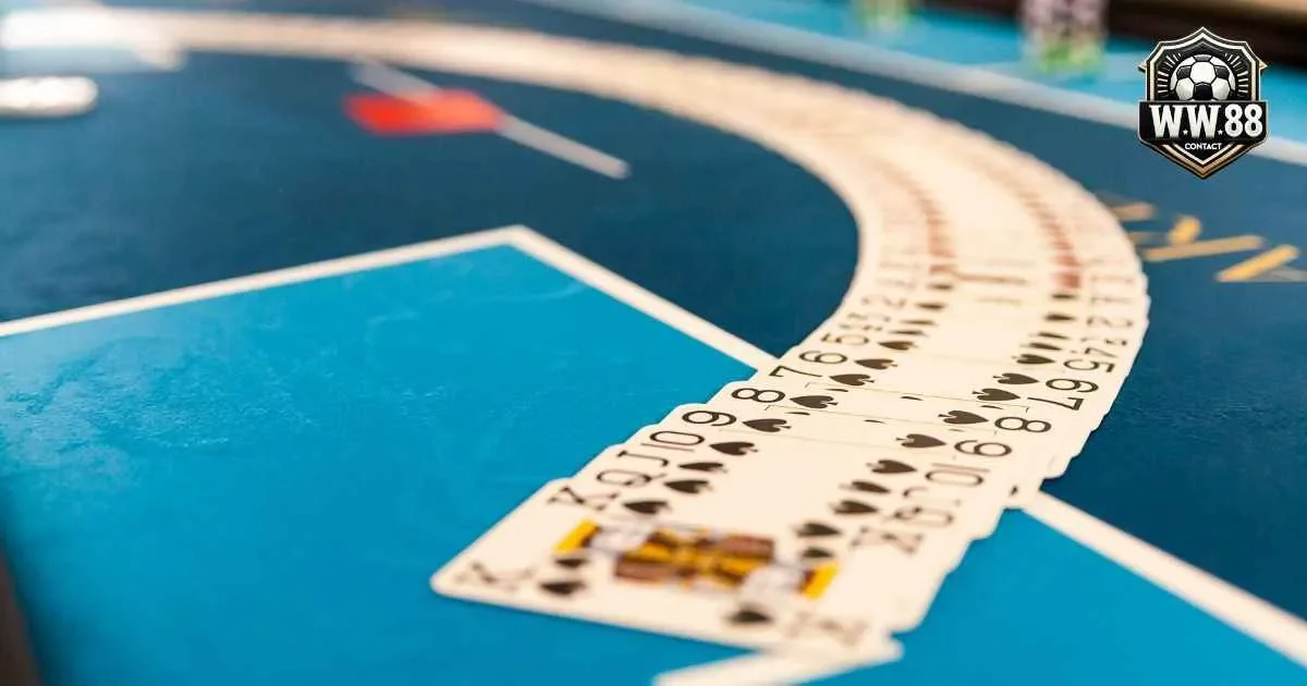 Bật mí cách chơi bài Catte nâng tầm thành cao thủ 3 Các kiểu bài trong Catte