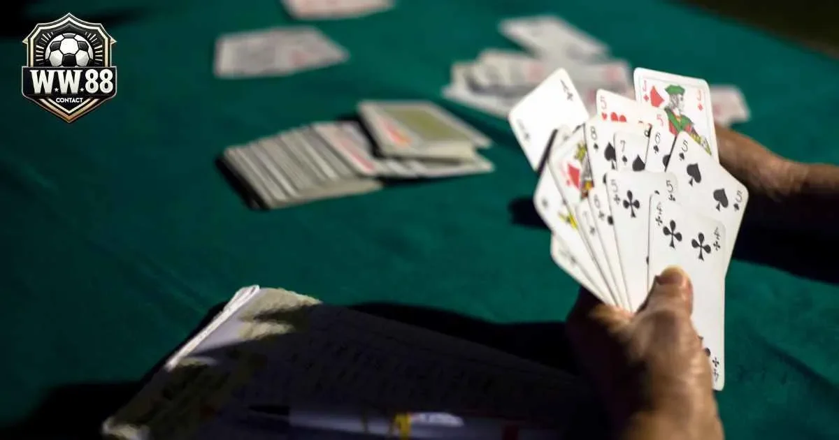 Hướng dẫn cách đánh phỏm bịp chi tiết nhất cho tân binh 4 Lợi ích và rủi ro khi biết cách đánh phỏm bịp