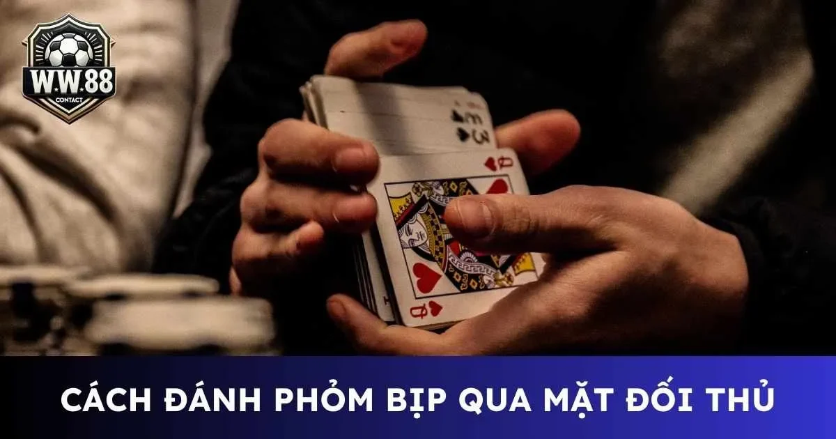 Hướng dẫn cách đánh phỏm bịp chi tiết nhất cho tân binh 1 Cách đánh phỏm bịp