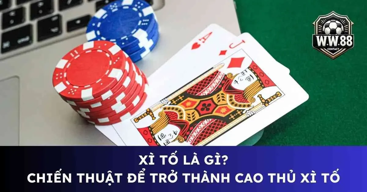Xì tố là gì