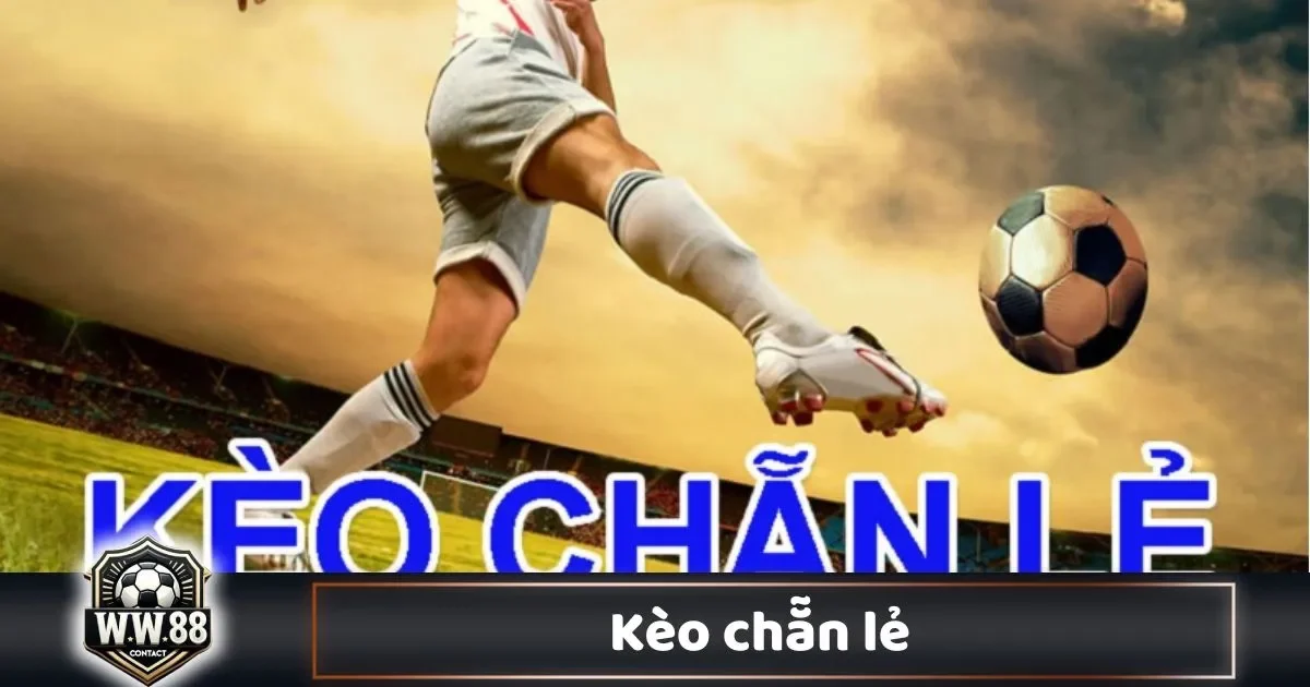 Kèo Chẵn Lẻ Là Gì? Cách Đọc Kèo & Cách Chơi Tại WW88 1 Kèo Chẵn Lẻ Là Gì? Cách Đọc Kèo & Cách Chơi Tại WW88