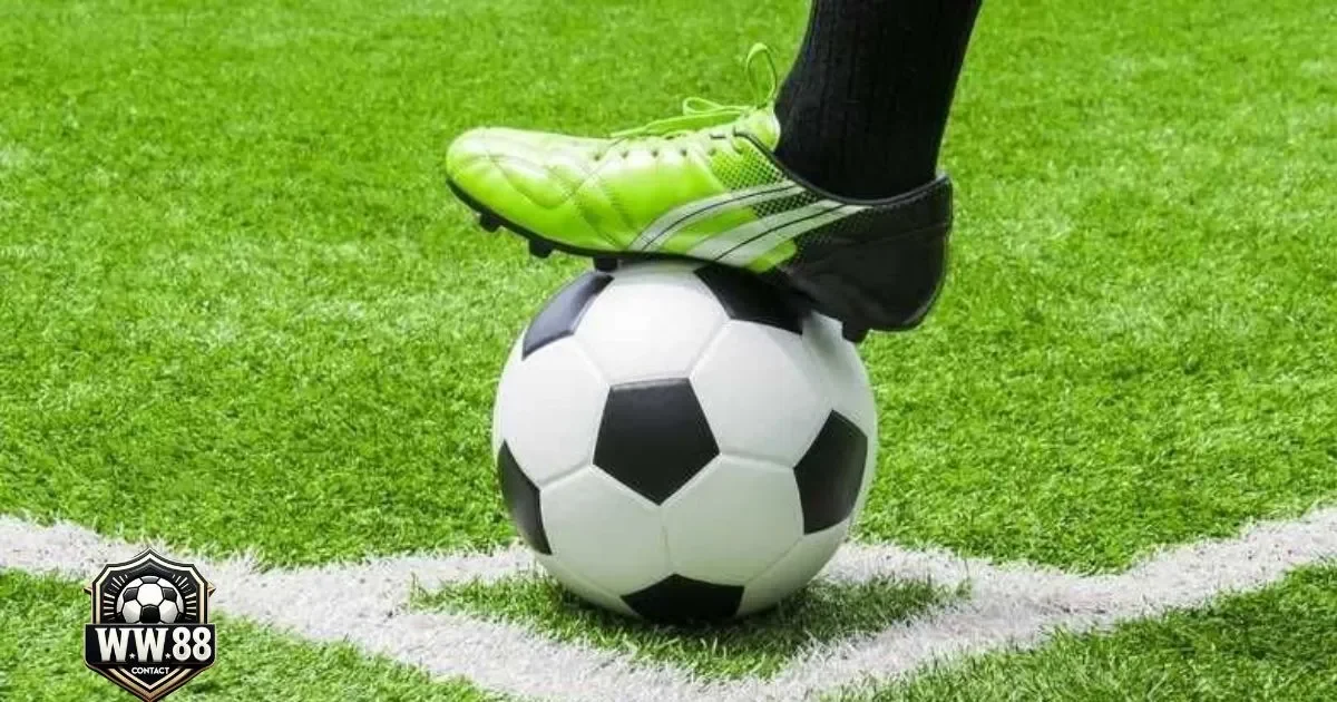 Kèo Chấp 0.25 Là Gì? Cách Đọc Kèo & Đặt Cược Tại WW88 4 Sự khác biệt giữa kèo chấp 0.25 và các loại kèo khác