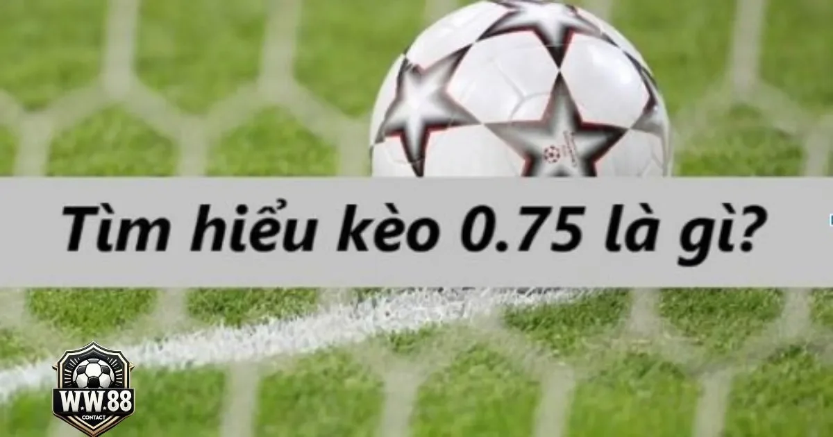Kèo Chấp 0.75 Là Gì? Cách Cá Cược & Cách Chơi Tại WW88 3 Khi nào nên chọn kèo chấp 0.75 thay vì kèo 0.5?
