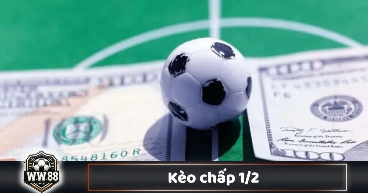 Kèo Chấp 1/2 Là Gì? Cách Cá Cược & Đọc Kèo Tại WW88