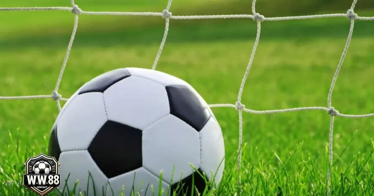 Kèo Chấp 2 1/2 Là Gì? Cách Cá Cược & Đọc Kèo Tại WW88 3 Khi nào đội cửa trên có khả năng thắng cách biệt trên 2 bàn?