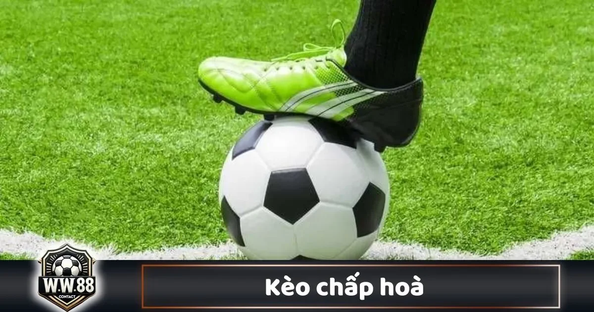 Kèo Chấp Hòa Là Gì? Cách Đọc Kèo & Đặt Cược Tại WW88