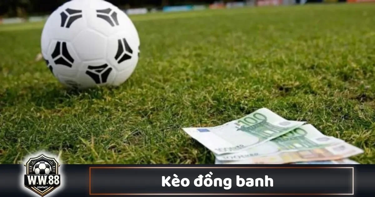 Khi Nào Nhà Cái Đưa Ra Kèo Đồng Banh?