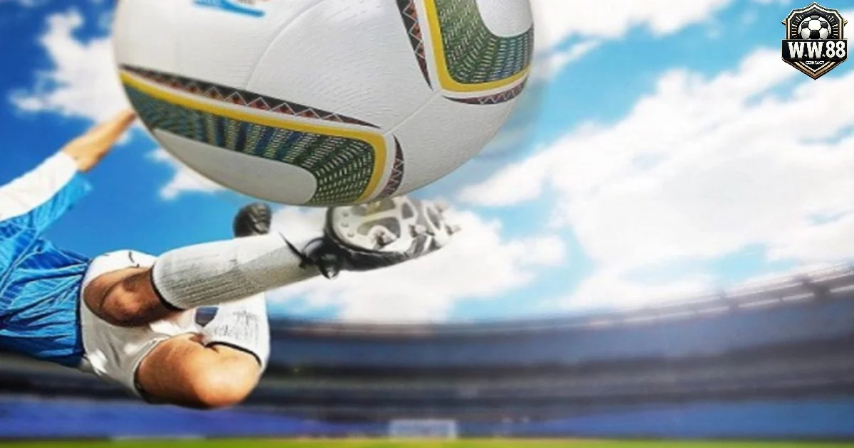 Kèo lựa có gì khác biệt so với các kèo châu Á khác?