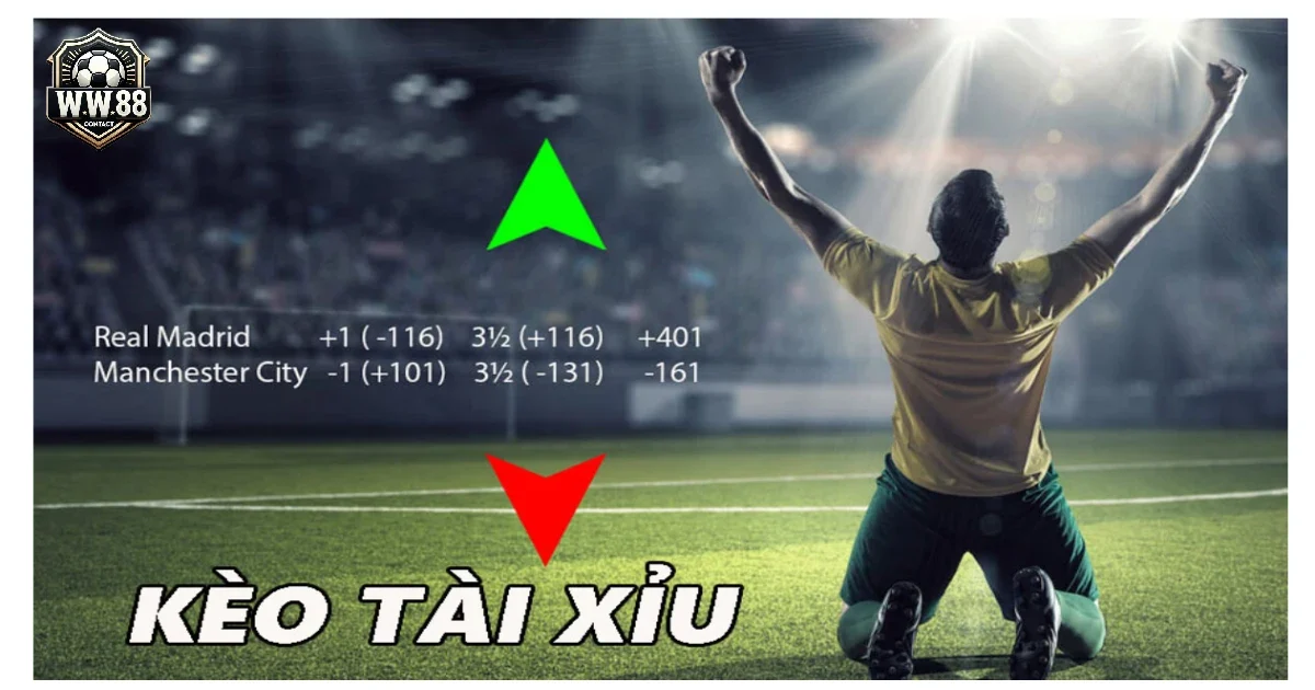 Cách Tính Tiền Thắng/Thua Khi Đặt Kèo Tài Xỉu 0.5-1