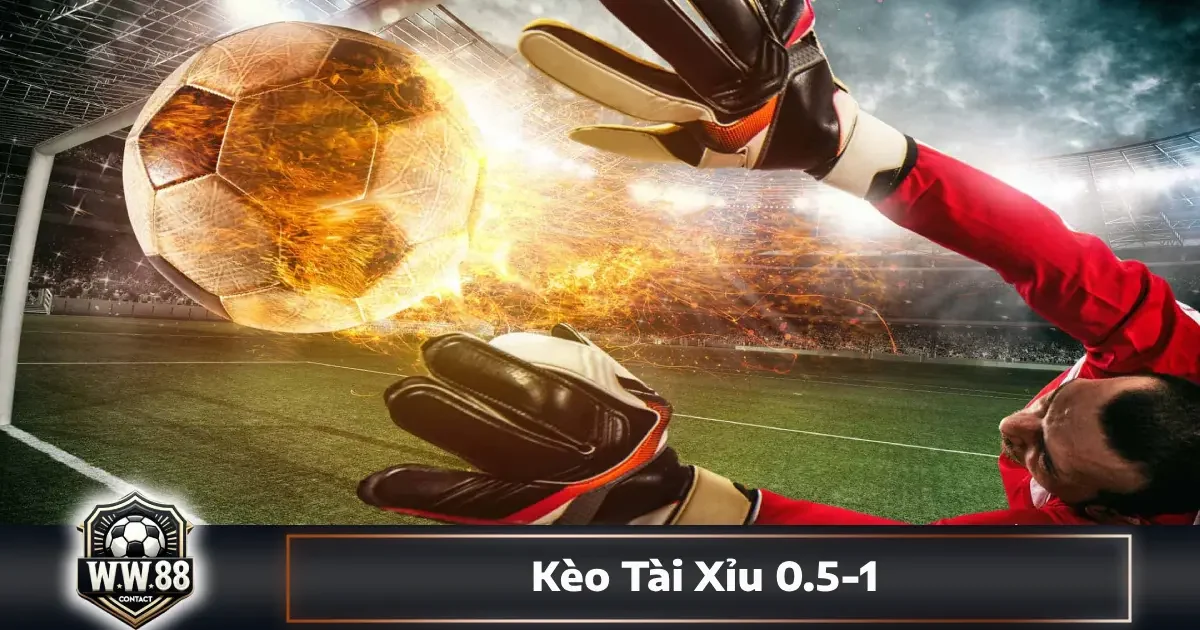 Kèo Tài Xỉu 0.5-1 Là Gì? Cách Đọc Kèo & Đặt Cược Tại WW88 5 Cách phân biệt kèo 0.5-1 với kèo 0.5 và 1 trái