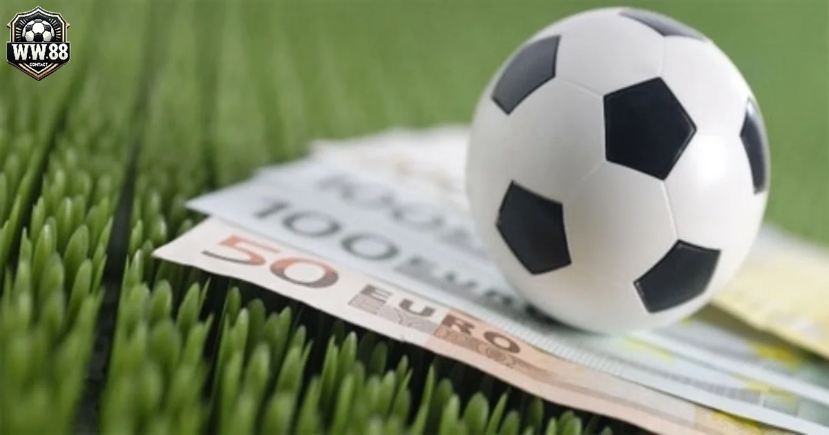 Kèo Tài Xỉu 3.5-4: Đọc Kèo & Đặt Cược Hiệu Quả Tại WW88 4 Sự khác biệt giữa kèo 3.5, 4 và kèo 3.5-4